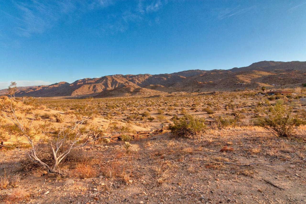 טוונטיניין פאלמס Chuck'S Cabin In A Joshua Tree Community מראה חיצוני תמונה